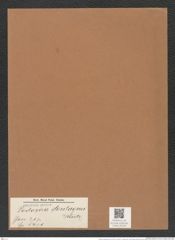 Podosira montagnei Kuetz. (de-Toni-Nr.: Genus 217, Species 5471) Zeichnungen Sammlung Grunow Mappe 05239 (Herbarium_W_Grunow_drawings_Folder_05239)